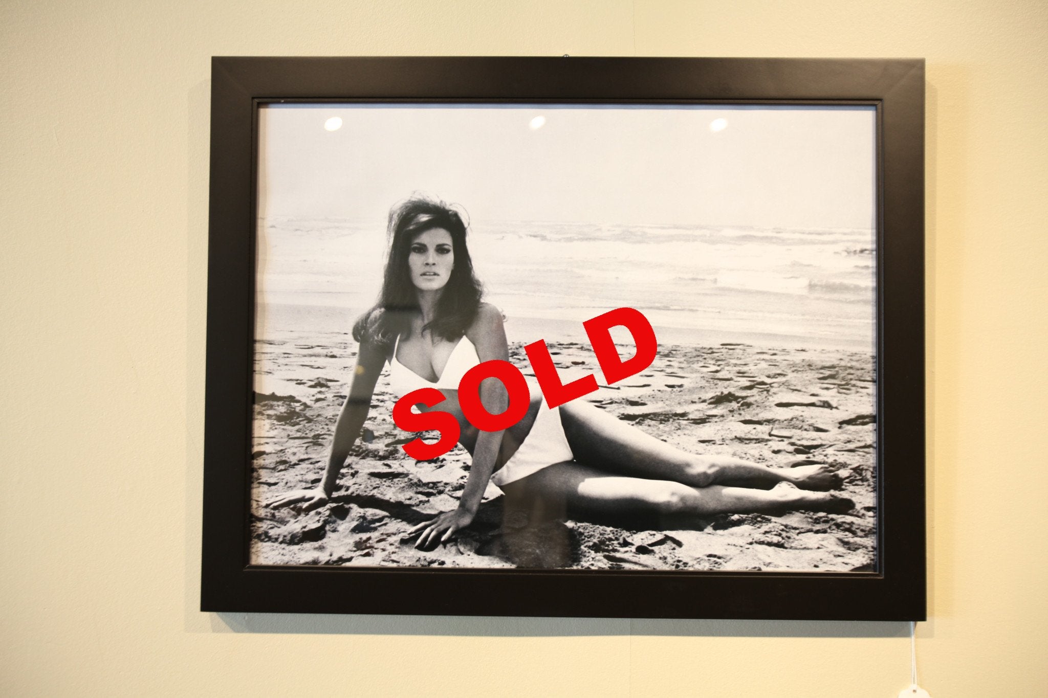 Raquel Welch Bikini Framed