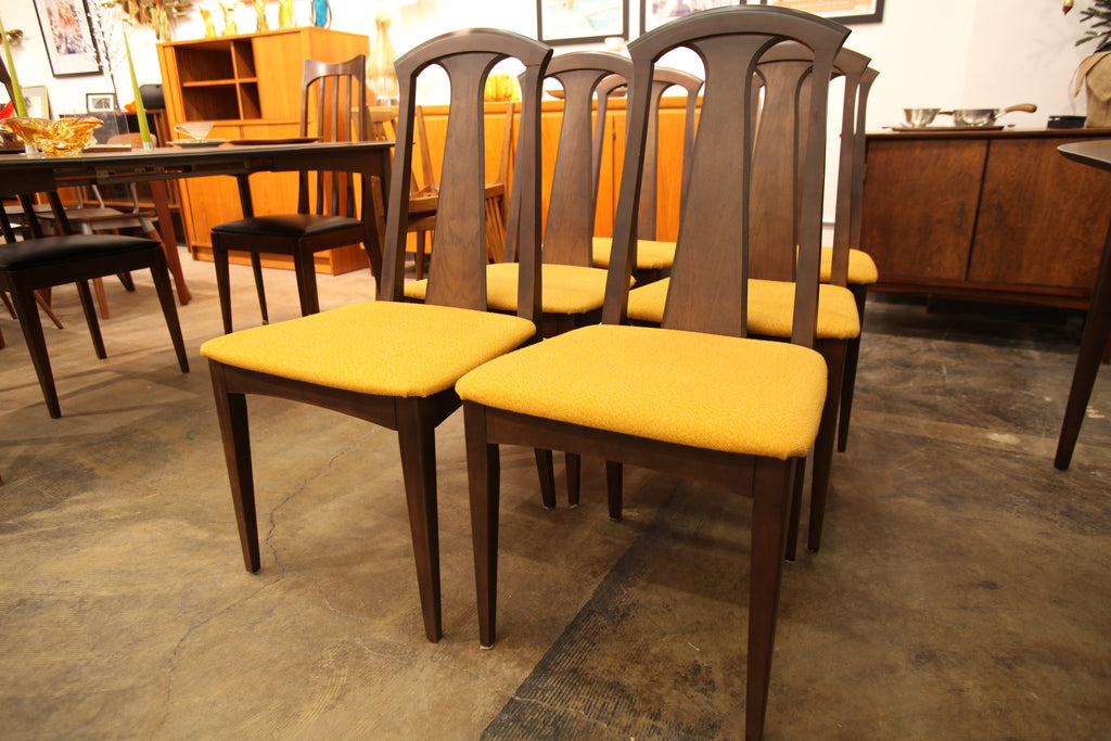 Set of 6 "Very Well Kept" Walnut Dining Chairs  (18.5"W x 21"D x 38"H)